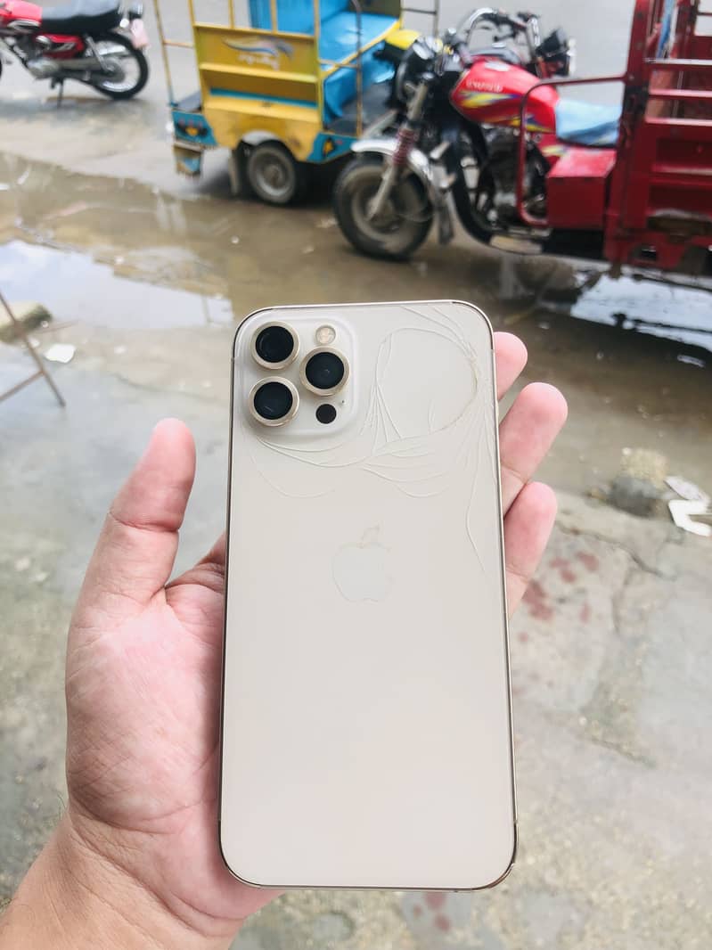 Apple iPhone 12 Pro Max 2