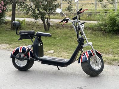 Scoter