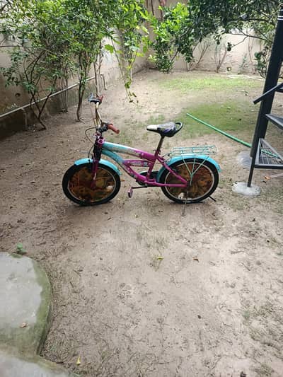 2 bicycle's