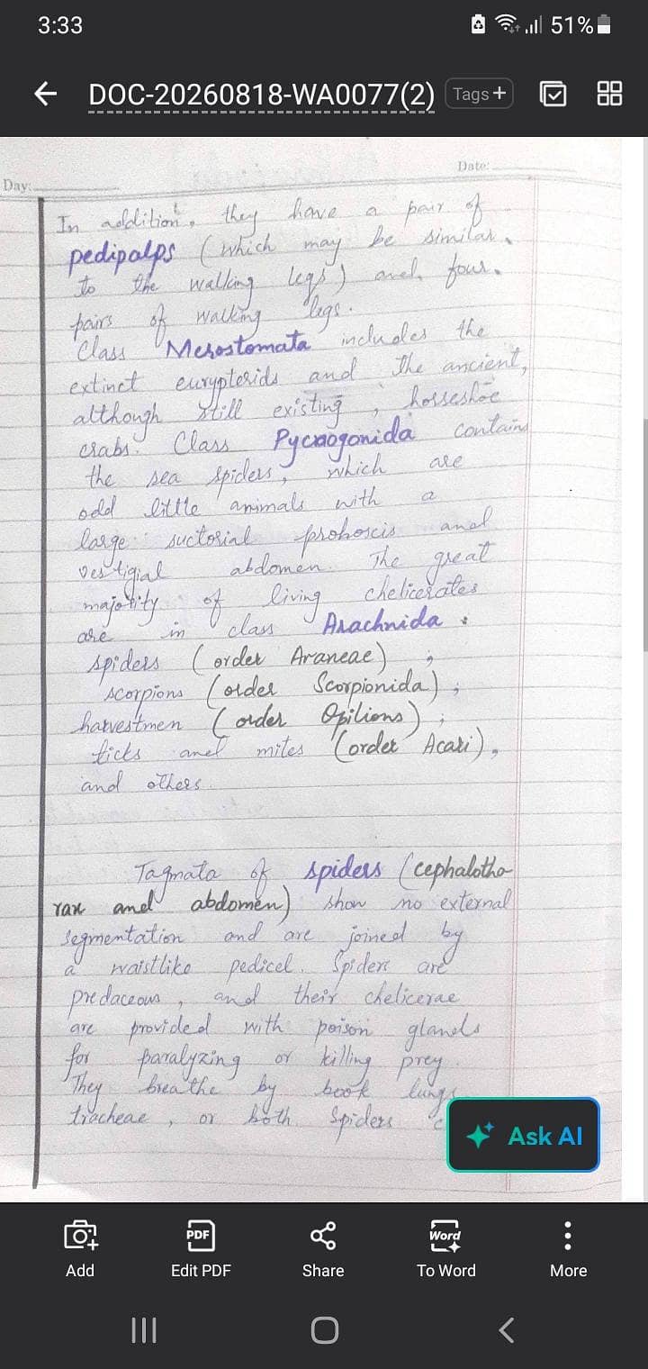 professional writer 1