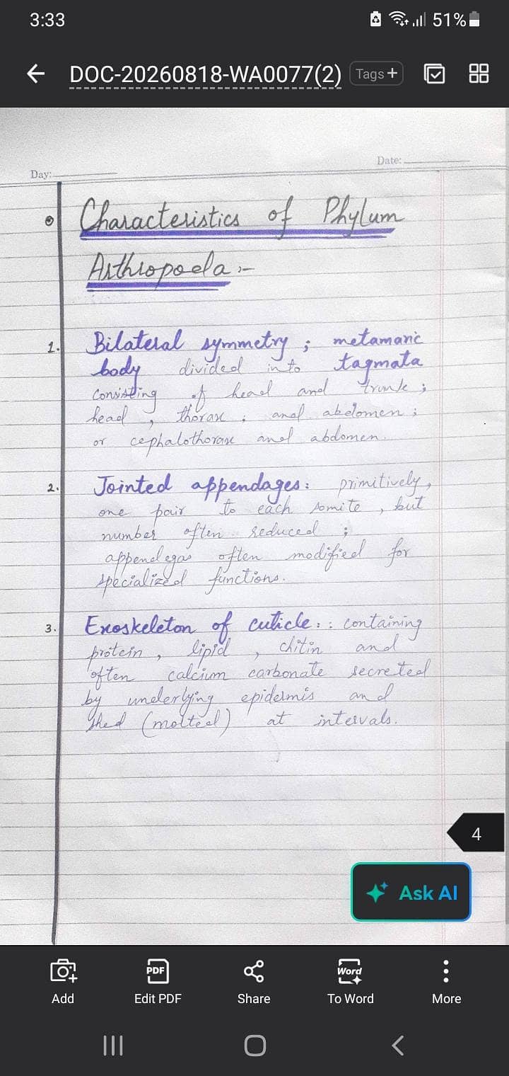 professional writer 3