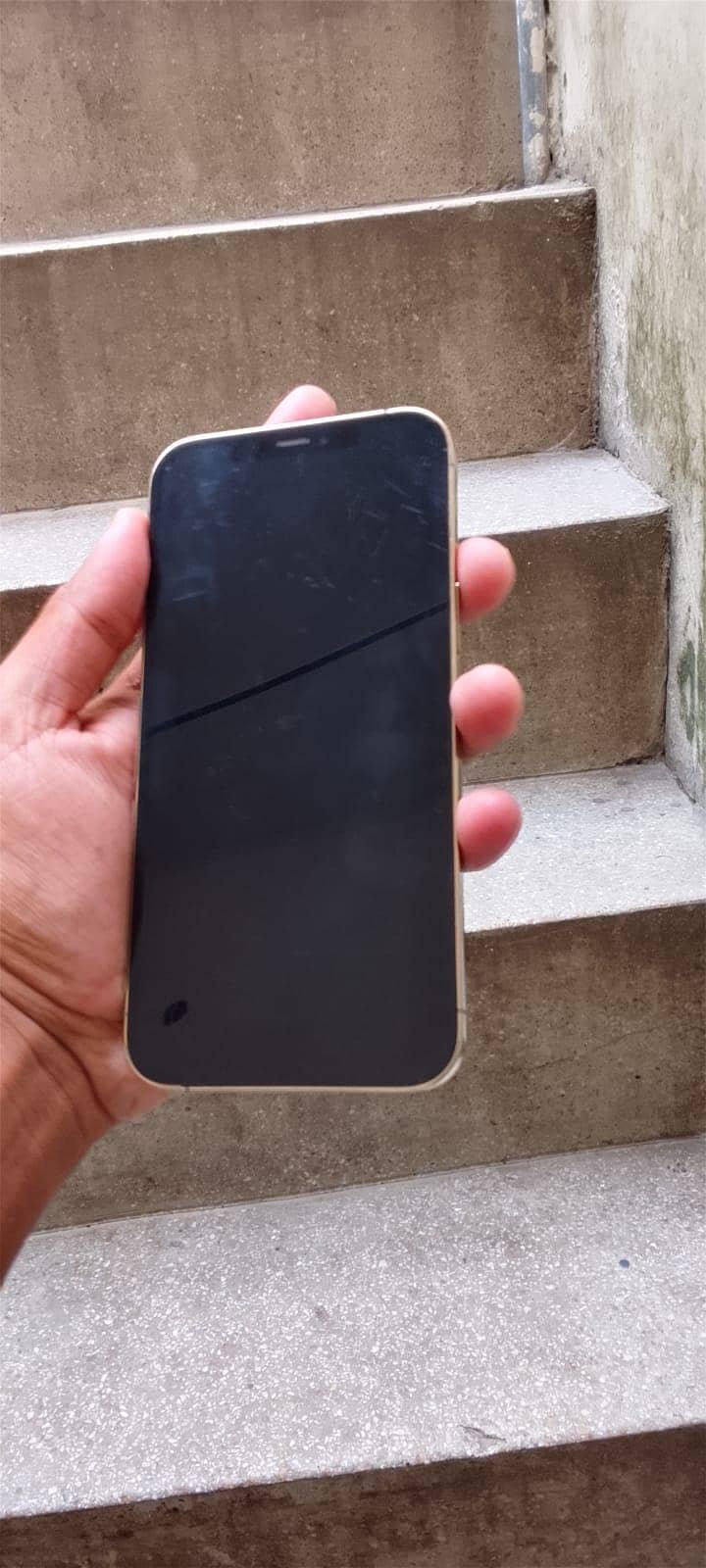 Apple iPhone 12 Pro Max 2