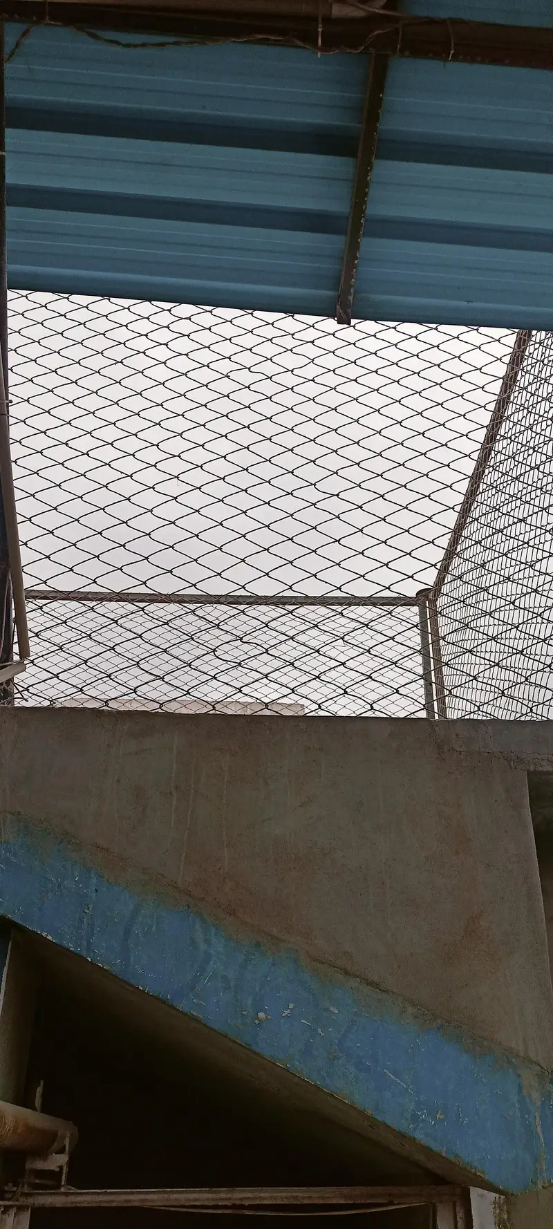 cage,birds,animal, — photo 2