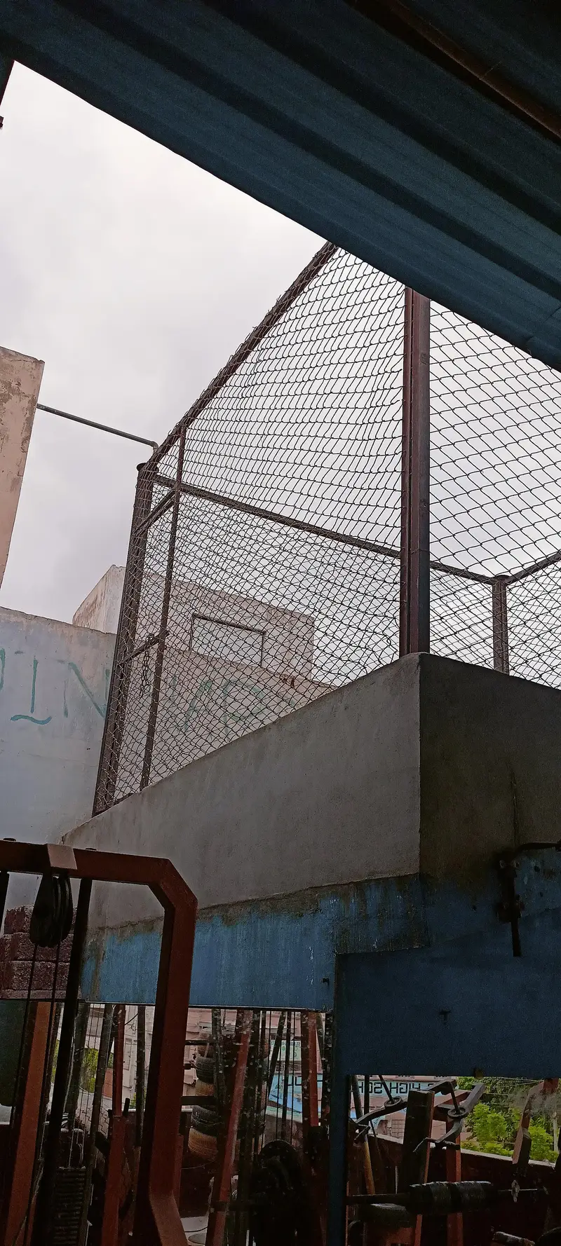 cage,birds,animal, — photo 3