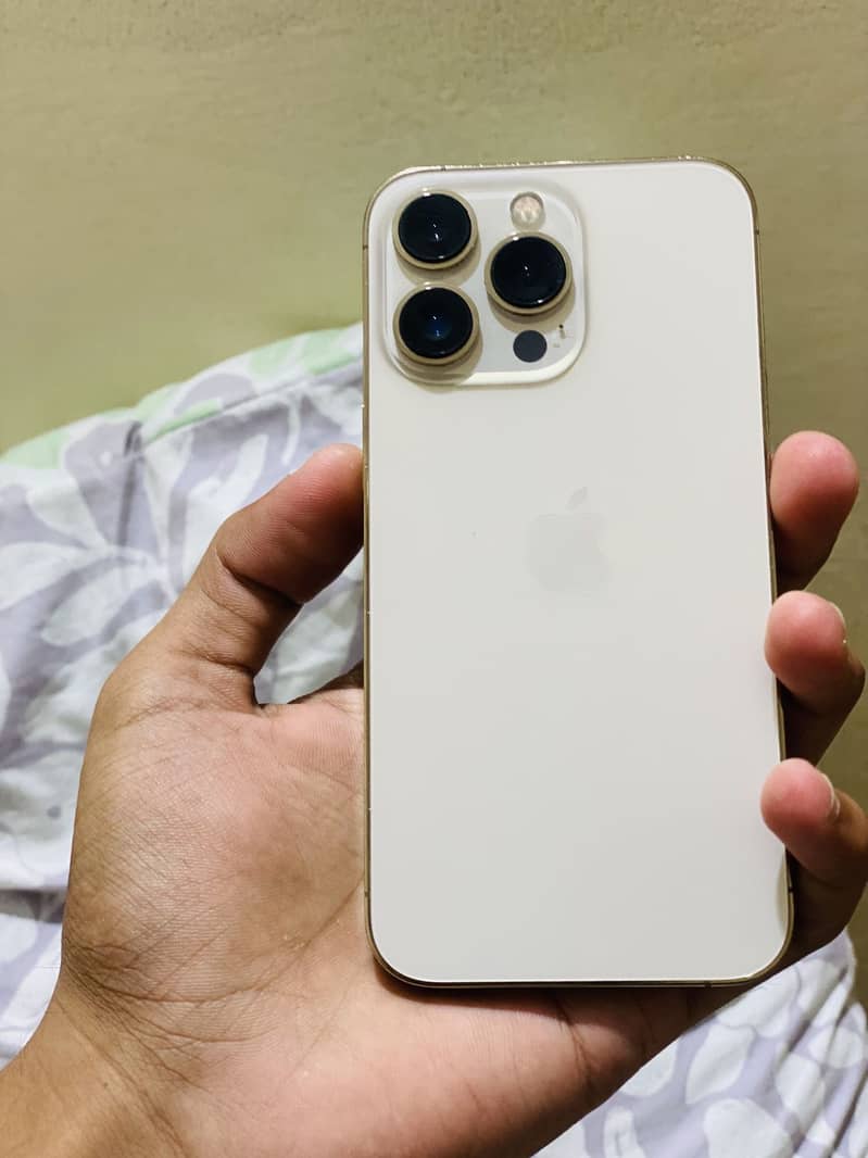 Apple iPhone 13 Pro 0