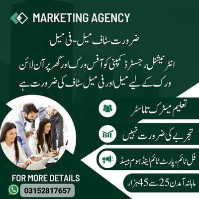 male and female staff required for online work