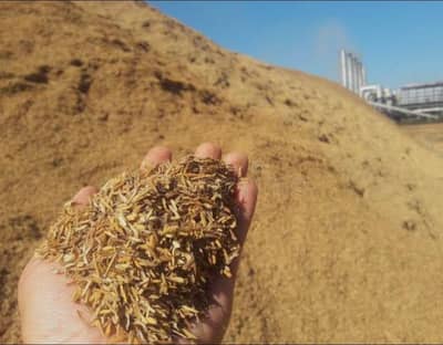 rice husk,