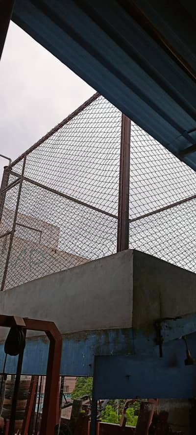cage for birds,animal,kickboxing,fighting,
