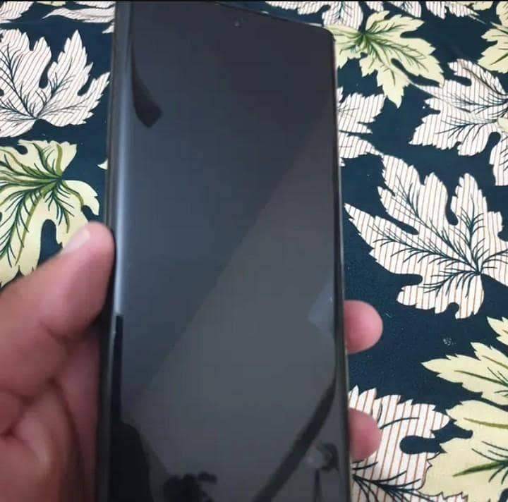 Google Pixel 6 Pro panel 0