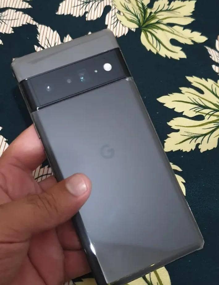 Google Pixel 6 Pro panel 2