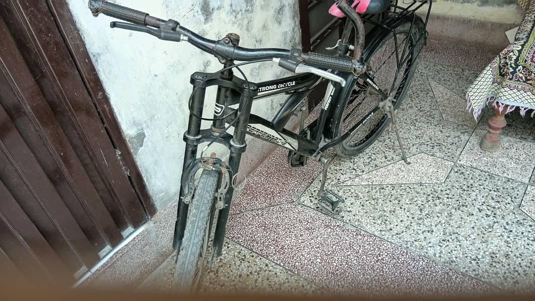 Phoenix cycle 2