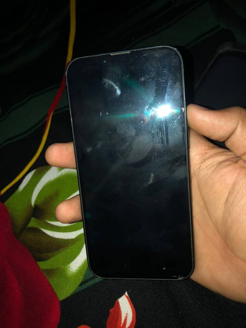Apple iPhone 13 0