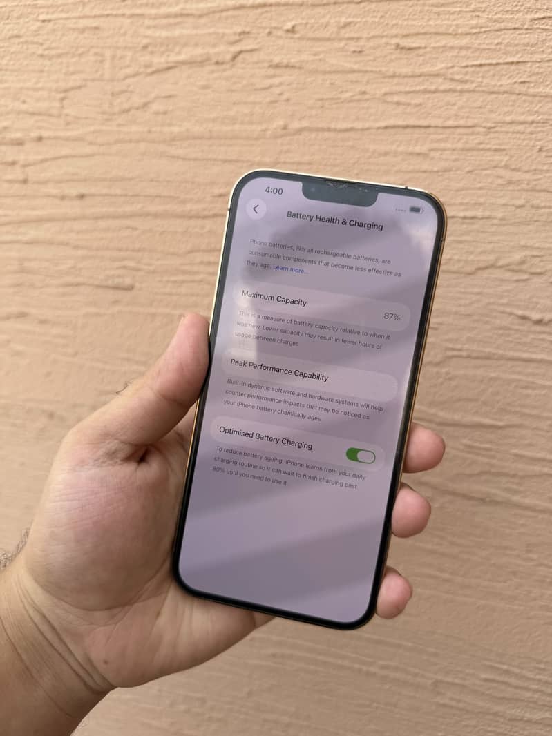 Apple iPhone 13 Pro Max 1