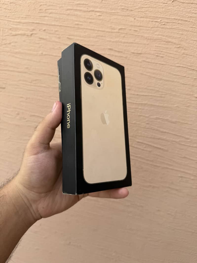 Apple iPhone 13 Pro Max 2