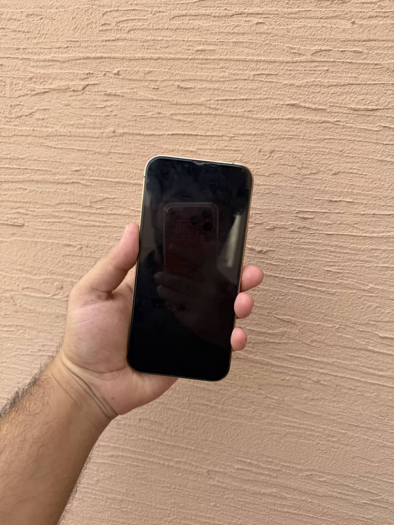 Apple iPhone 13 Pro Max 4