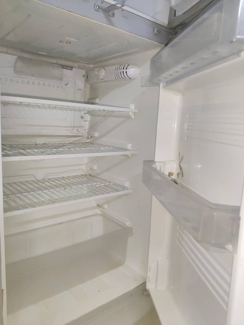 PEL FRIDGE 2