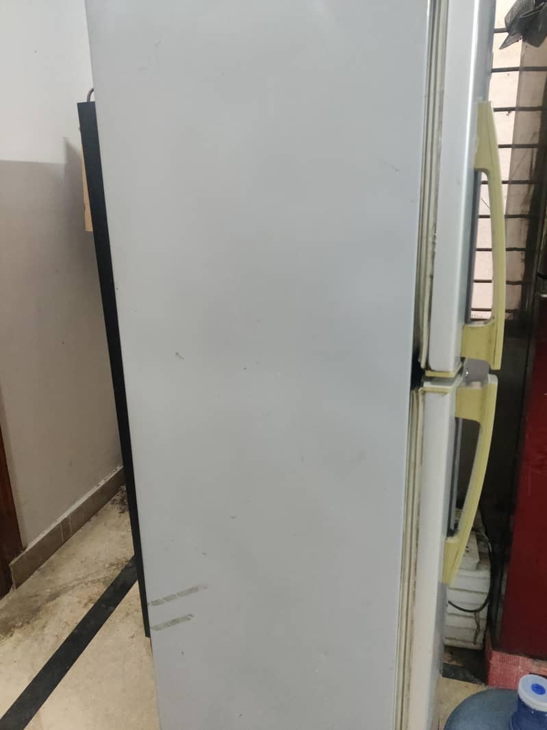 PEL FRIDGE 6