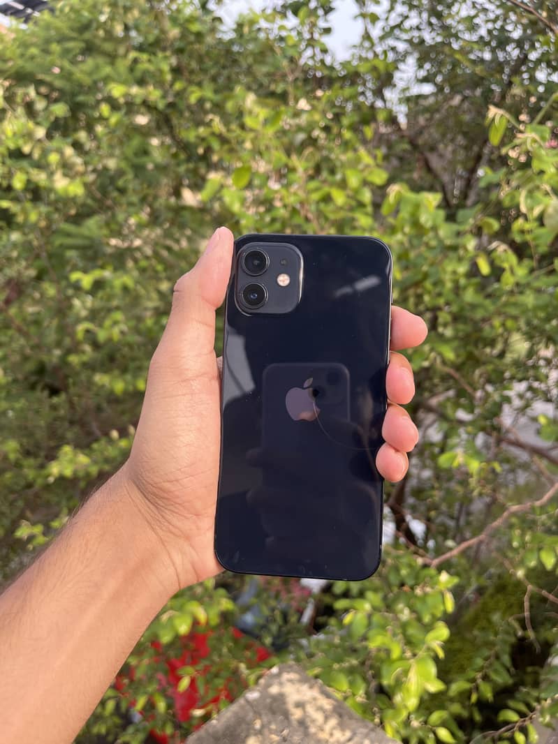 Apple iPhone 12 1