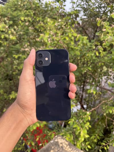 Apple iPhone 12