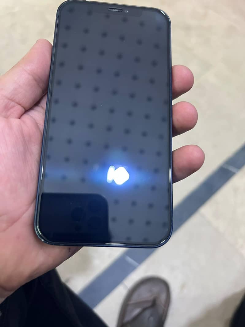 Apple iPhone 12 1