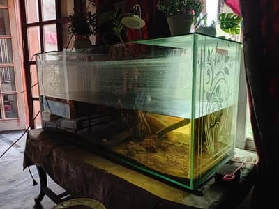 3fit aquarium 2 fit hight 2.5 fir widget 8mm glass all ok no issue