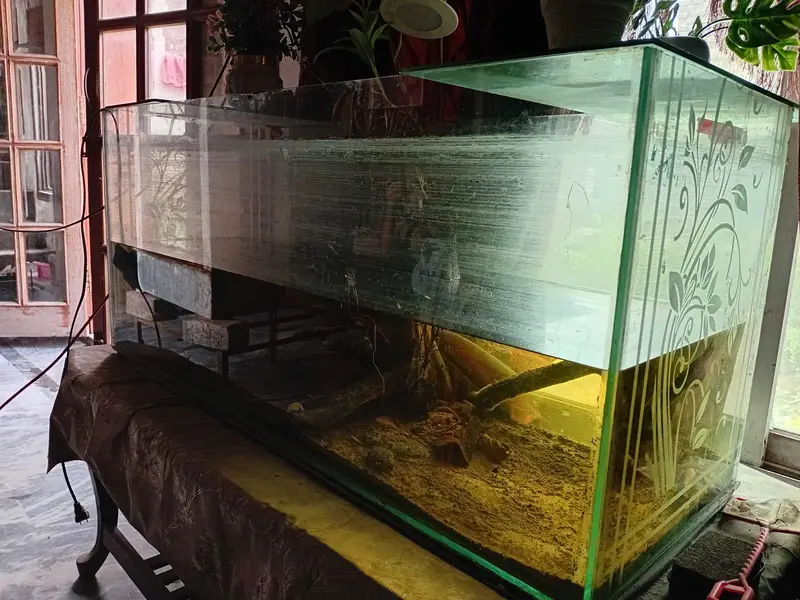3fit aquarium 2 fit hight 2.5 fir widget 8mm glass all ok no issue — photo 2