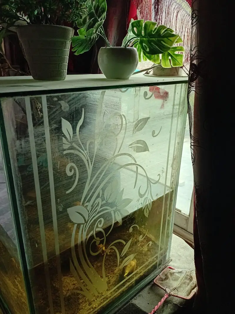 3fit aquarium 2 fit hight 2.5 fir widget 8mm glass all ok no issue — photo 4