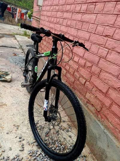 Dinos imported bicycle