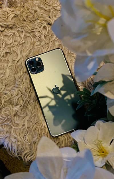 Apple iPhone 11 Pro Max