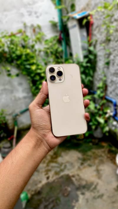iPhone 13 Pro Max Waterpack Price Fix