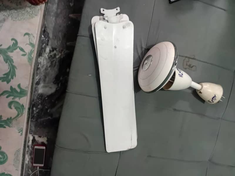 ceiling fan 1