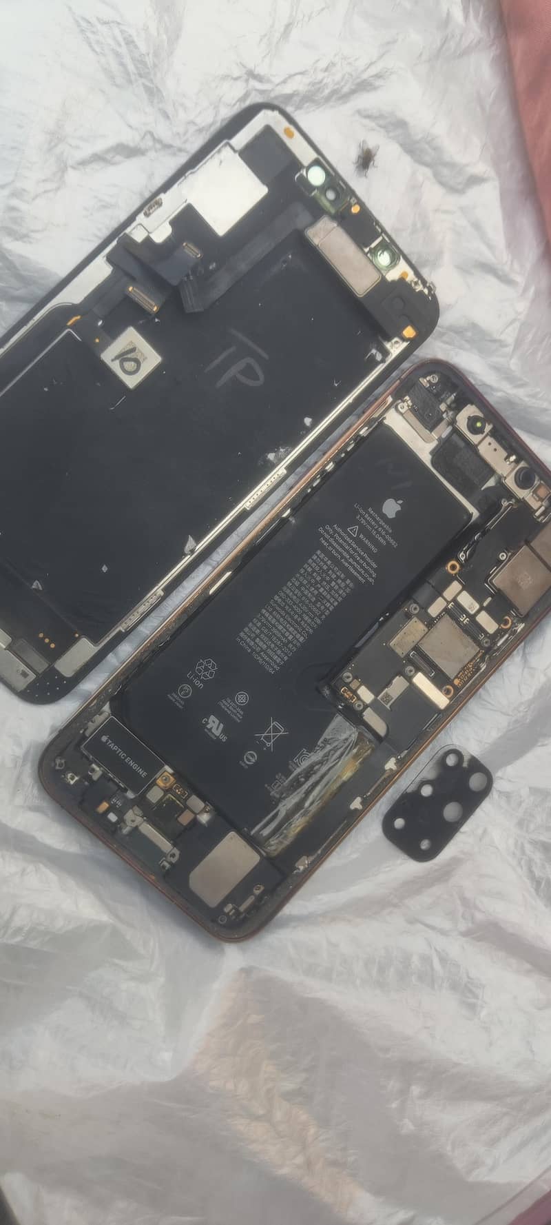 Apple iPhone 11 Pro Max 1