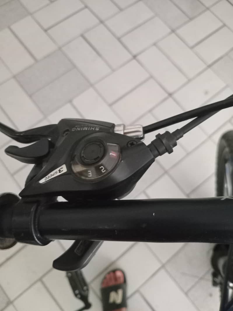Cycle 4