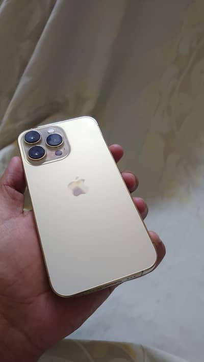 iPhone 13 Pro Gold With Box