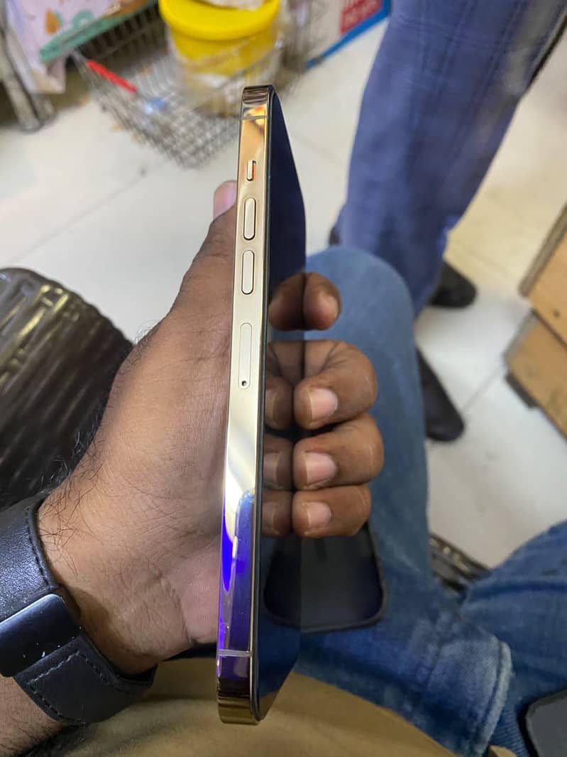 Apple iPhone 13 Pro Max 1