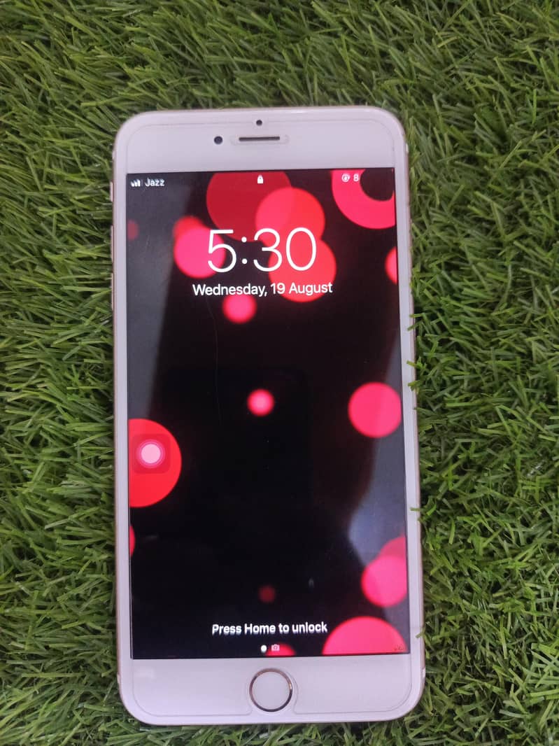 Apple iPhone 6S Plus 1