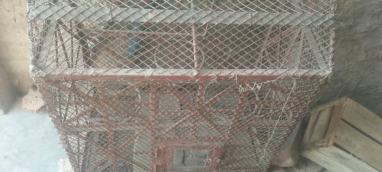 اسٹریلین طوطوں کا پنجرہ 3