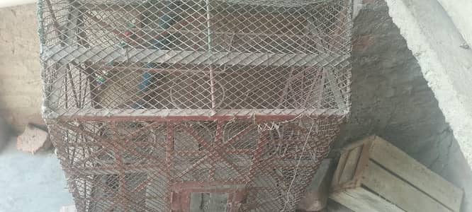 اسٹریلین طوطوں کا پنجرہ