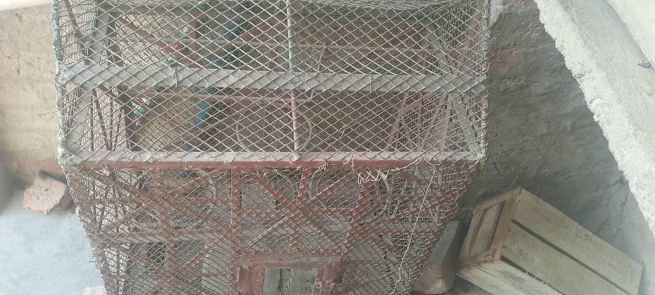 اسٹریلین طوطوں کا پنجرہ 0