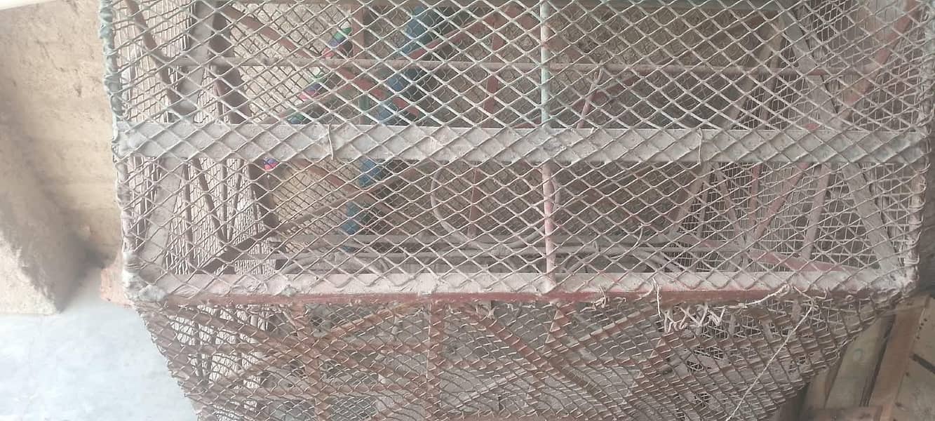 اسٹریلین طوطوں کا پنجرہ 1