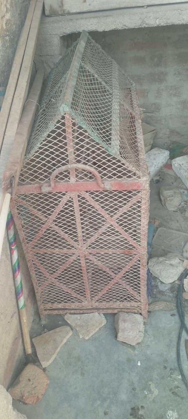 اسٹریلین طوطوں کا پنجرہ 2
