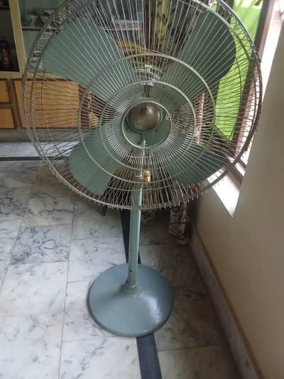 china fan