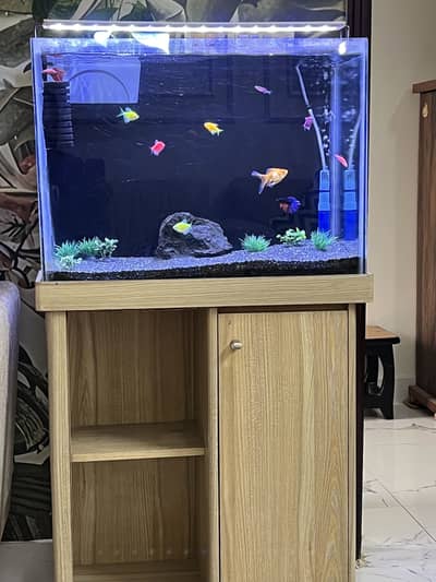 Aqurium sale in cheap price