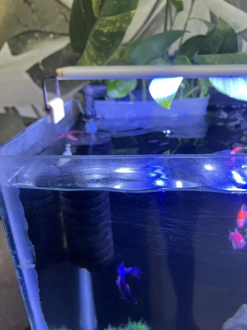 Aqurium sale in cheap price — photo 2