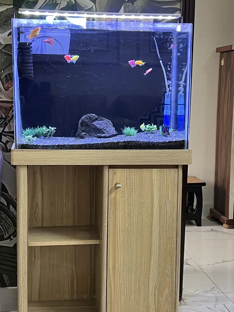 Aqurium sale in cheap price — photo 4