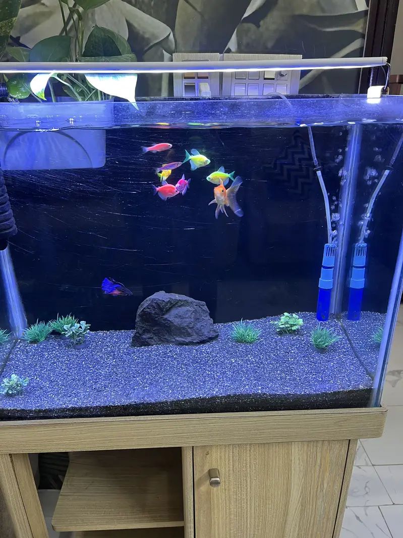Aqurium sale in cheap price — photo 5