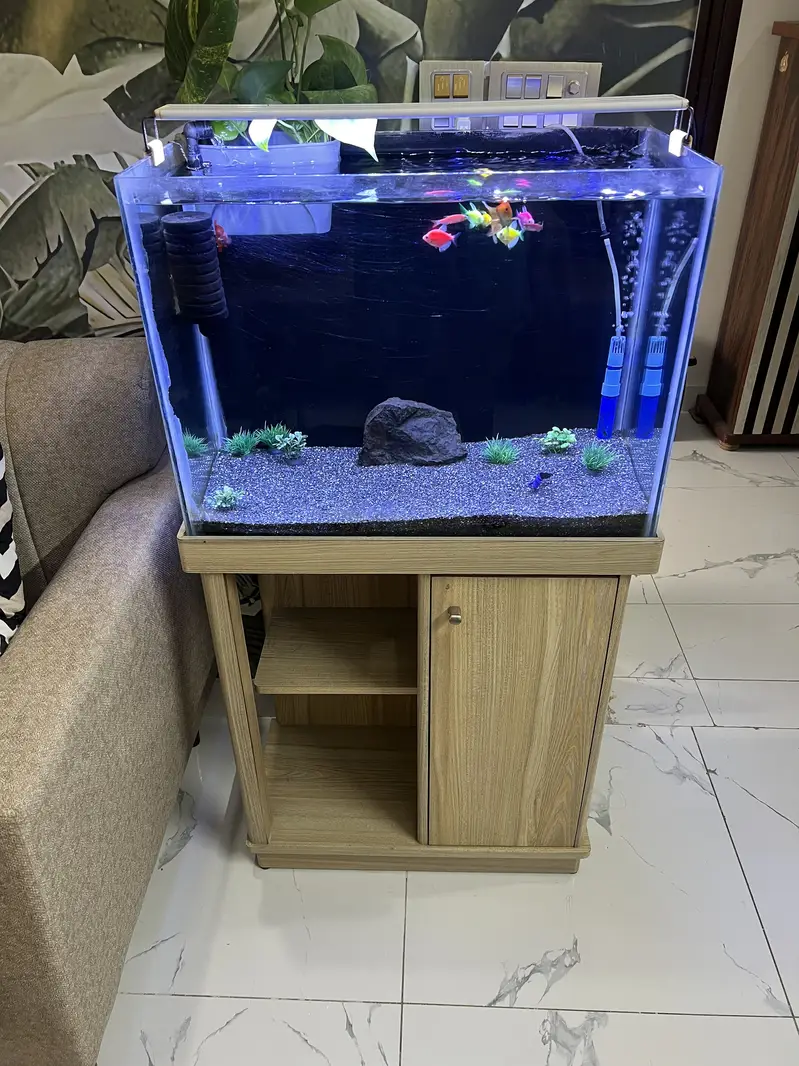 Aqurium sale in cheap price — photo 6