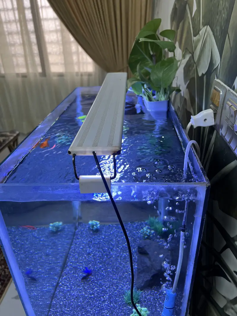 Aqurium sale in cheap price — photo 7