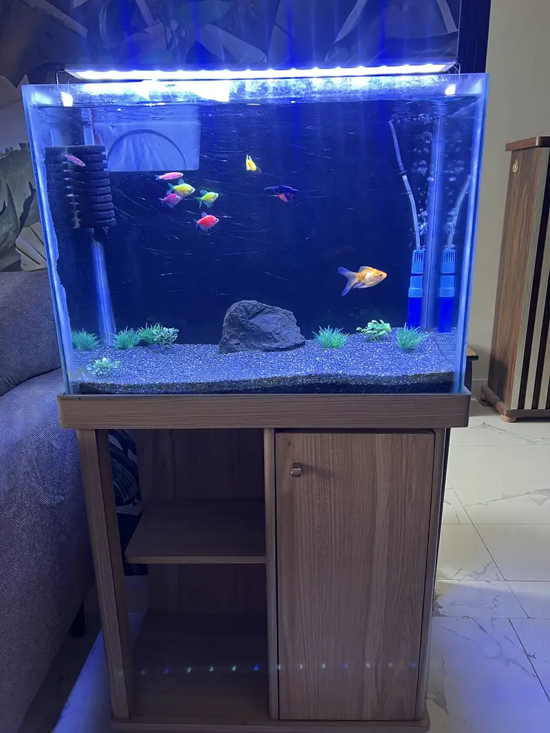 Aqurium sale in cheap price — photo 9