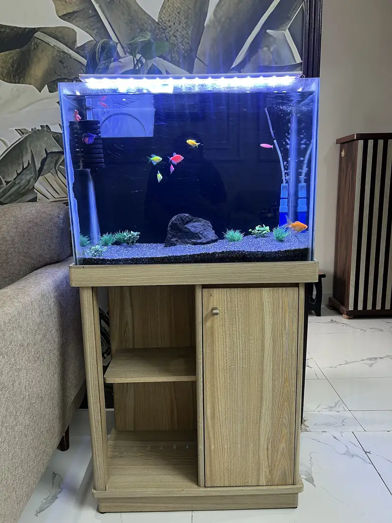Aqurium sale in cheap price — photo 10